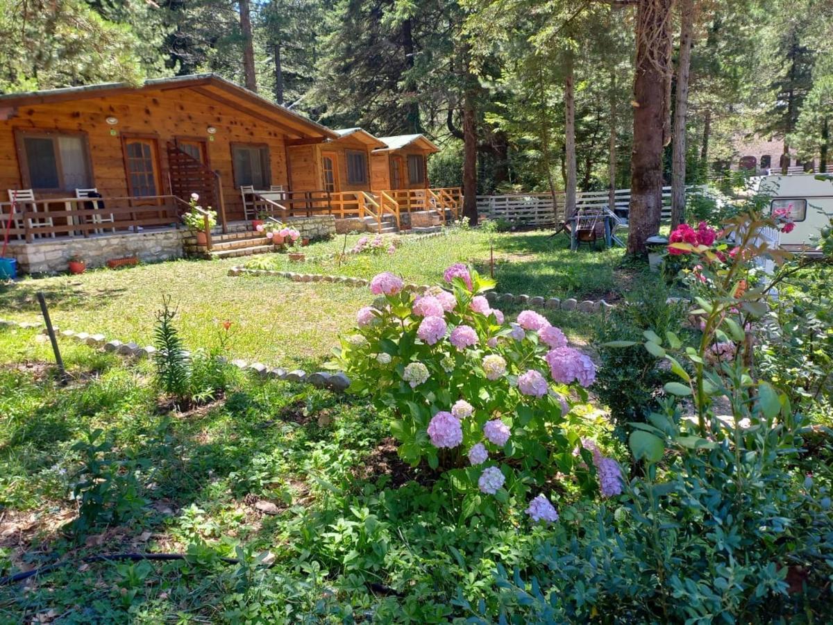 Bujtina Uji I Panjes, Log Cabins Dukat Exterior foto