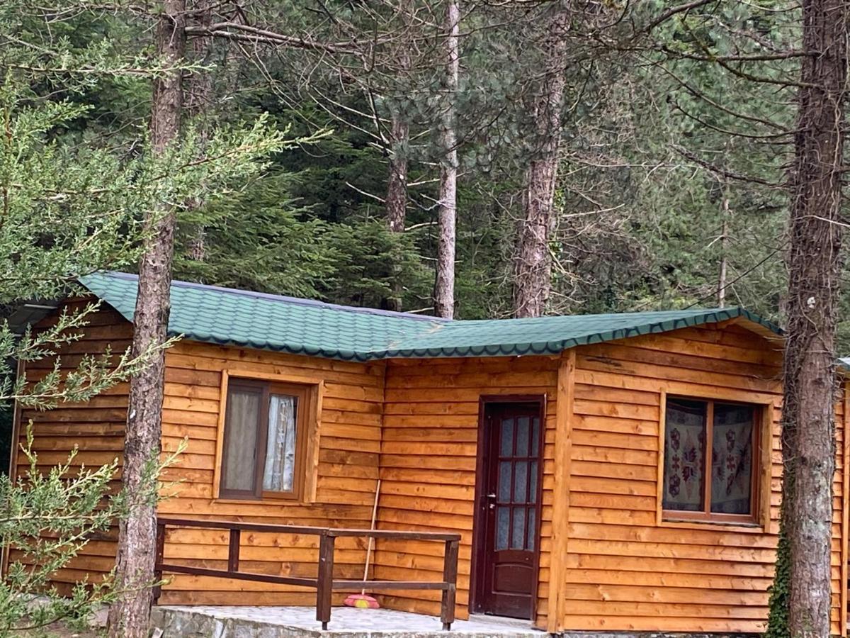 Bujtina Uji I Panjes, Log Cabins Dukat Exterior foto